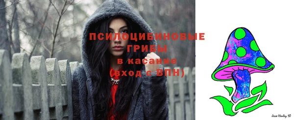 ешки Карпинск