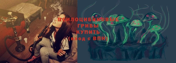шишки Касимов