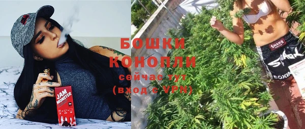 шишки Касимов