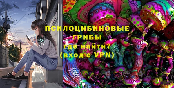 ешки Карпинск