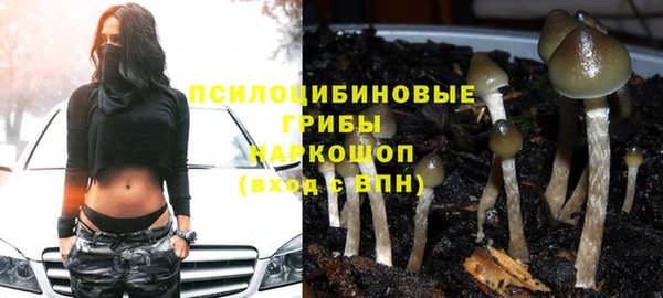 ешки Карпинск