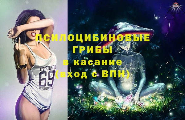 шишки Касимов